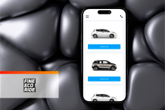 IT consulting for eco-friendly car rental solutions